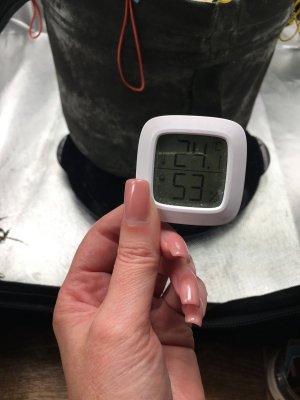 06419D04-0552-46A1-87CE-6FD81BF9E390.jpeg