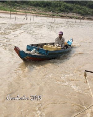 IMG_2865.jpeg