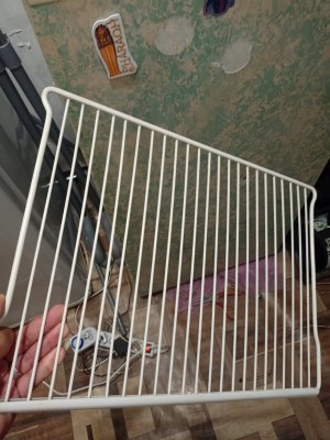 16938999522431436015524986715342.jpg