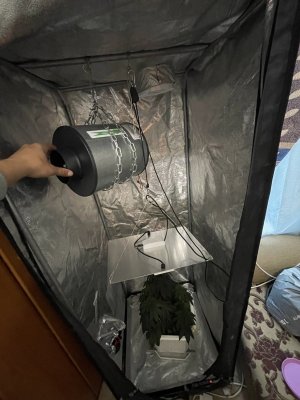 IMG_4633.jpeg