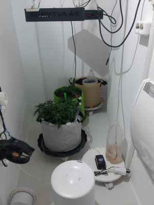 20230912_200124.jpg