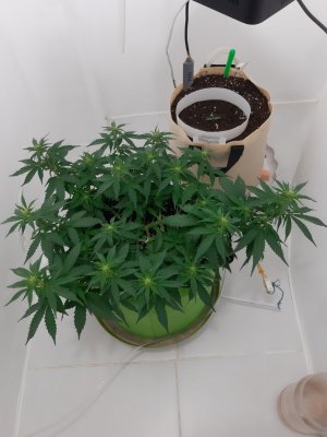 20230916_103034.jpg