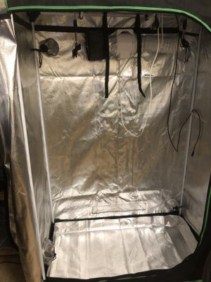 IMG_4353.jpeg