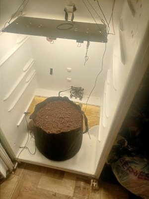 IMG20231012204823.jpg