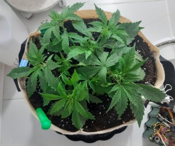 20231016_202321.jpg