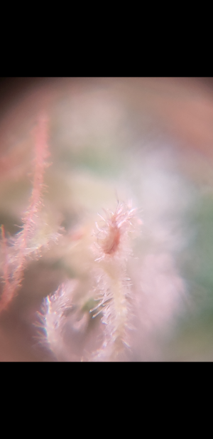 S31019-230234.png