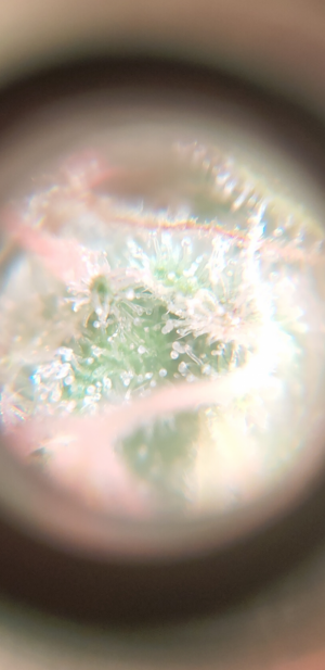 S31019-225525.png