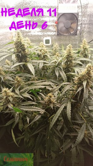 Picsart_23-10-21_07-43-30-787.jpg