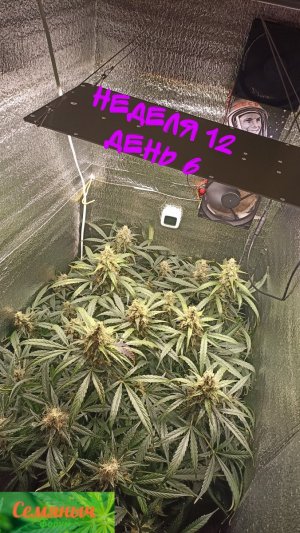Picsart_23-10-28_11-23-17-957.jpg
