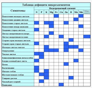 imgonline-com-ua-dexifbvCQB7duLmML.jpg
