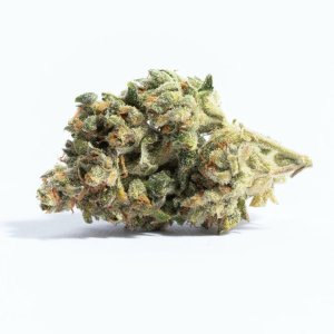 Acapulco Gold.jpg