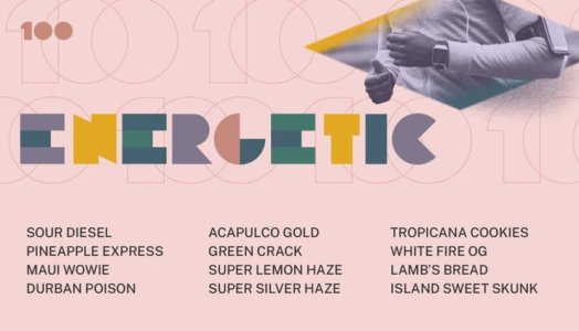 100strains-Categories-v2-Energetic-1920x1100-1x-1024x587.jpg