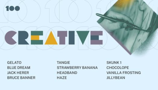 100strains-Categories-v2-Creative-1920x1100-1x-1024x587.jpg