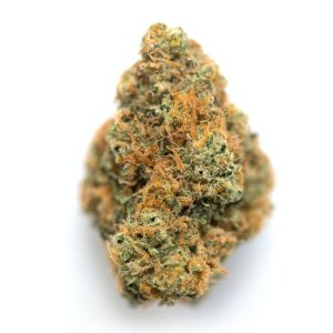 Strawberry Cough.jpg Strawberry Cough.jpg