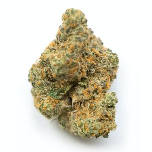 GSC.jpg
