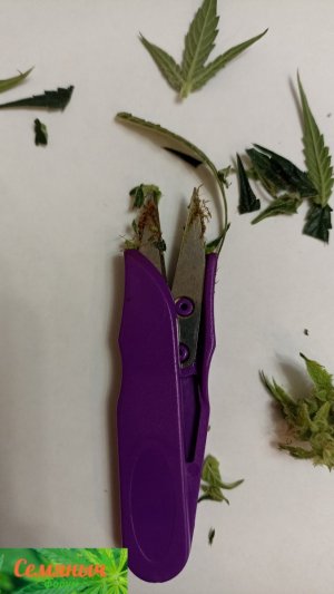 Picsart_23-10-31_01-09-38-670.jpg