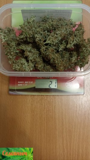 Picsart_23-11-04_21-41-58-252.jpg