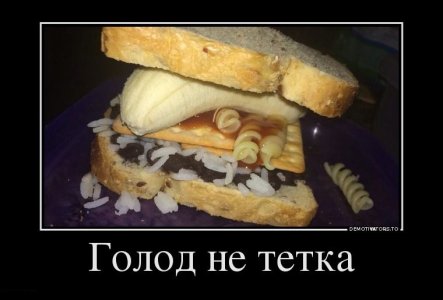 8.01.7_Голод_не_тётка.jpg