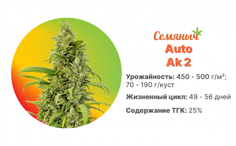 Auto Ak 2 Auto Ak 2