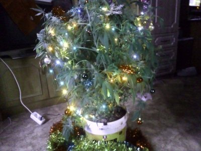 IMG_20231220_115651.jpg