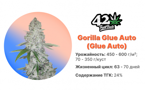 Gorilla Glue Auto Gorilla Glue Auto