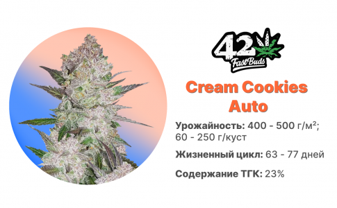 Cream Cookies Auto Cream Cookies Auto