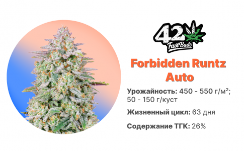 Forbidden Runtz Auto Forbidden Runtz Auto