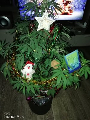 IMG_20231223_084732.jpg