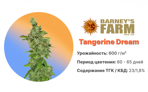 Tangerine Dream