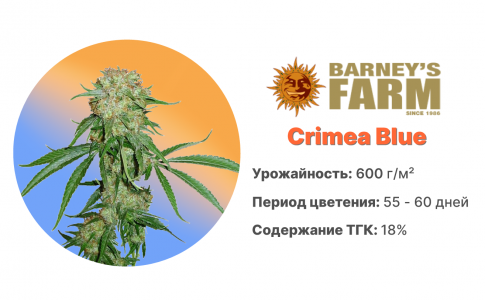 Crimea Blue Crimea Blue