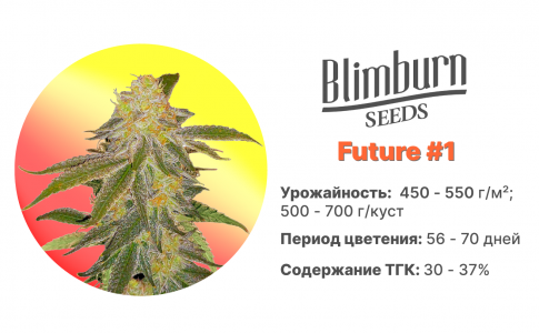 Future #1 Future #1