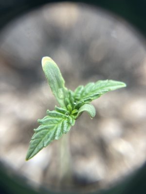 IMG_7500.jpeg