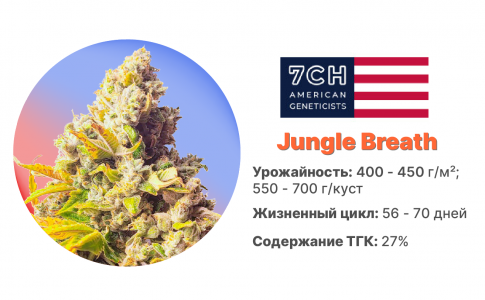 Jungle Breath
