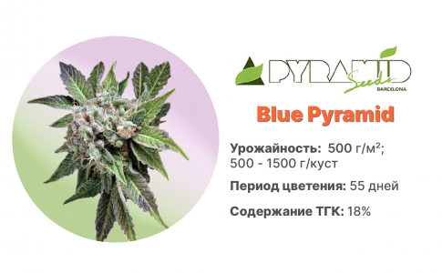 Blue Pyramid Blue Pyramid