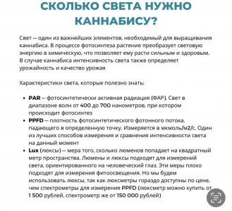 IMG_9176.jpeg