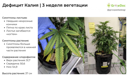 16.thumb.png.53965ffa16e608c9b11481b8fcddebcd.png