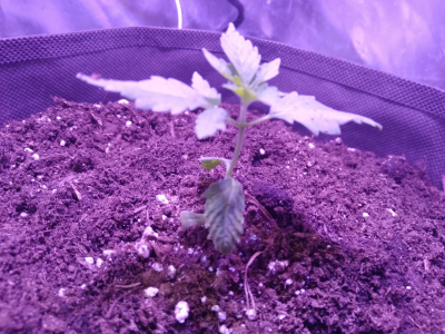1710494193575.png
