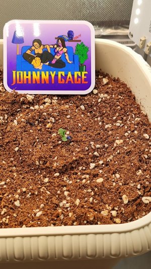 remove_image_metadata_168d8a278534782c781b23dddf6831bd_65f9e4aaf3e7f.jpg