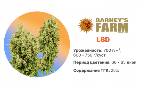 ВС.png