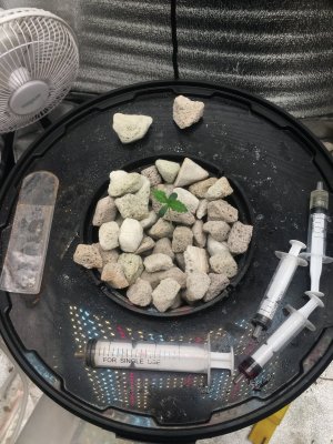 5A0C3719-D662-4F2D-A9E9-3CD86E64C104.jpeg