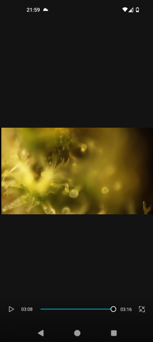 Screenshot_20240509-215927.png