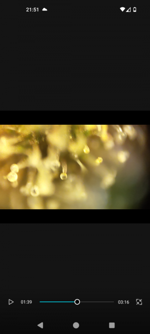 Screenshot_20240509-215138.png