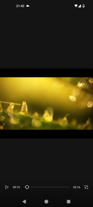 Screenshot_20240509-214200.png