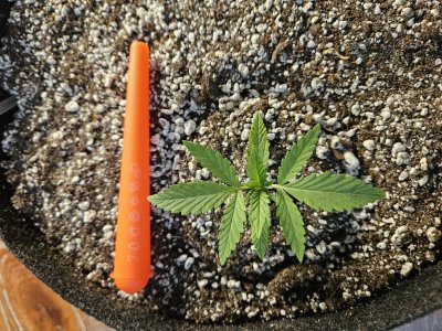 20240530_134336.jpg