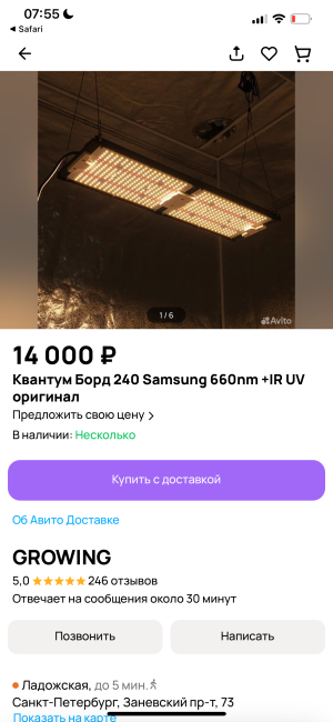 IMG_6518.png